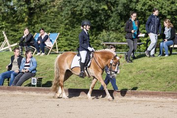 Bild 82 - Pony Akademie Turnier